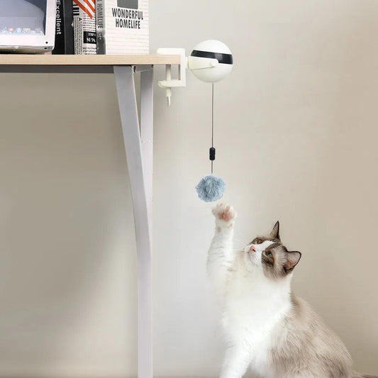 Automatic Lifting Cat Toy Ball - Woorld Mega Store