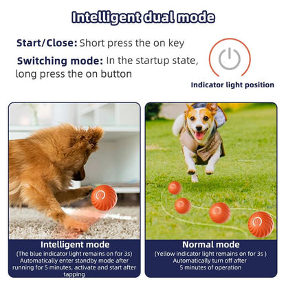 Interactive Electronic Dog Ball - Woorld Mega Store