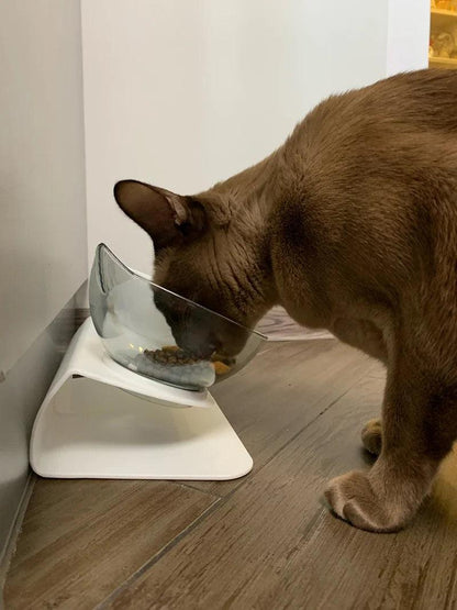 Double Non-Slip Bowl for Cat Dog - Woorld Mega Store