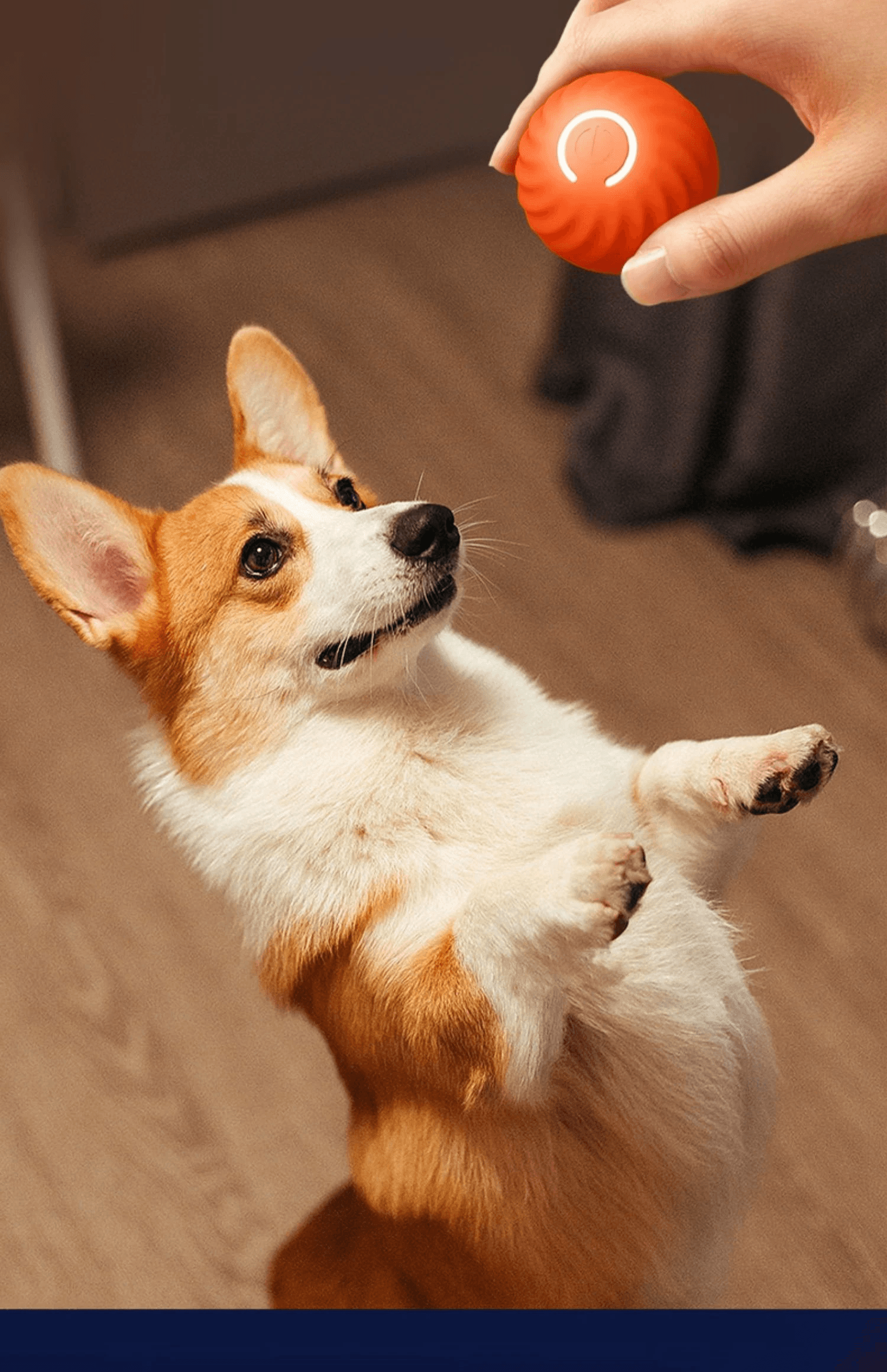 Interactive Electronic Dog Ball - Woorld Mega Store