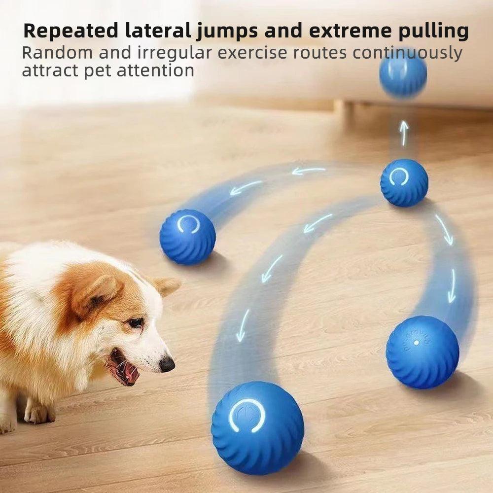 Interactive Electronic Dog Ball - Woorld Mega Store