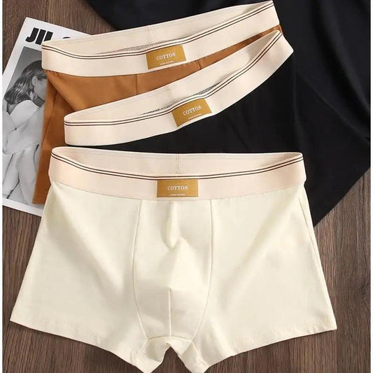 3Pcs Men's  BoxerShorts