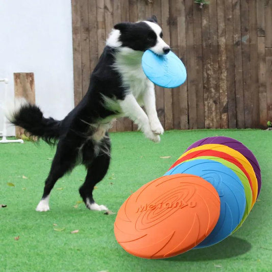 Interactive Disc for Dog - Woorld Mega Store